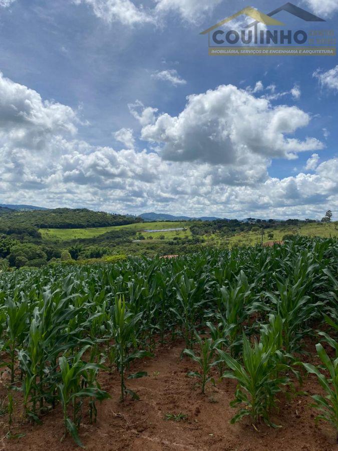 WhatsApp Image 2025-12-11 at 13.22.48.jpeg